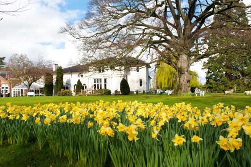 Imagen general del Hotel Wrexham Llyndir by Belvilla. Foto 1