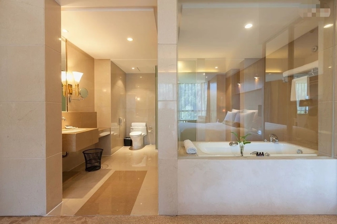 Imagen de la habitación del Hotel Wudang Argyle Grand International. Foto 19