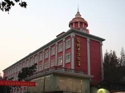 Imagen general del Hotel Wuhan Yangzijiang Hotel (Guiyuansi). Foto 1