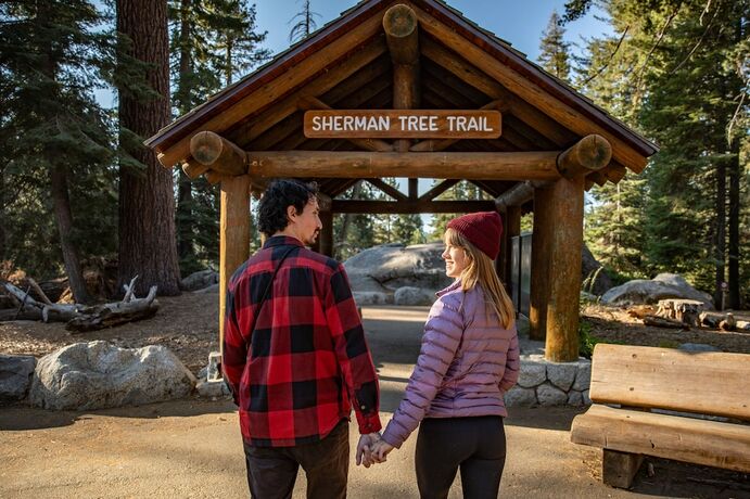 Imagen general del Hotel Wuksachi Lodge. Foto 2