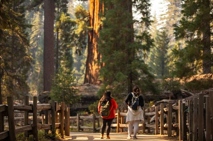 Imagen general del Hotel Wuksachi Lodge. Foto 6