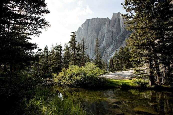Imagen de la habitación del Hotel Wuksachi Lodge. Foto 20