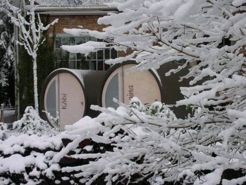 Imagen de la habitación del Hotel Wunderbar. Foto 15