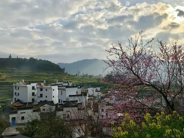 Imagen general del Hotel Wuyuan Jiangling View Inn. Foto 4