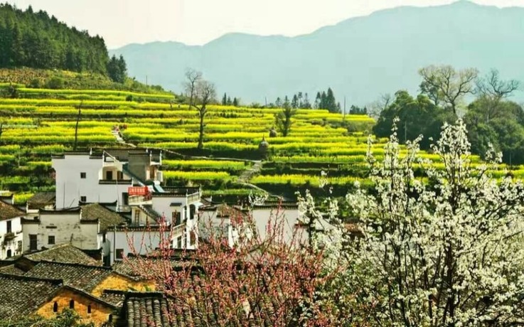 Imagen general del Hotel Wuyuan Jiangling View Inn. Foto 12