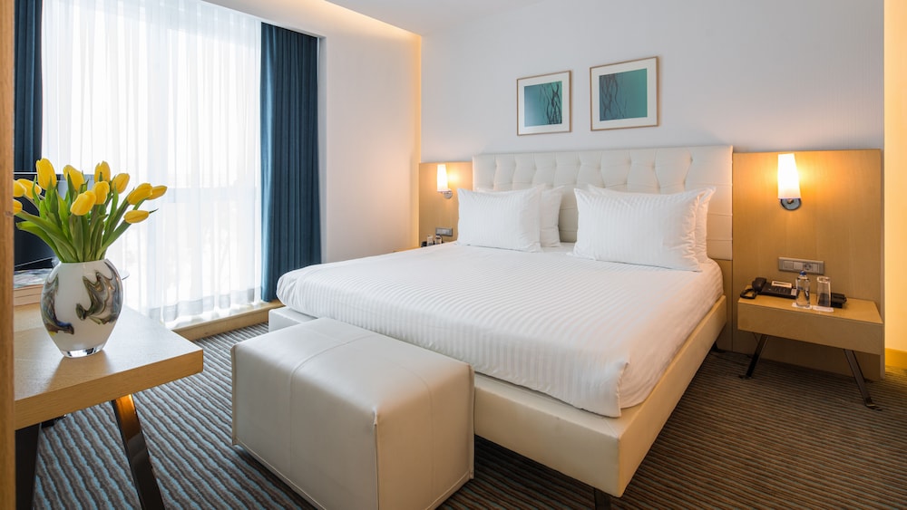 Imagen de la habitación del Hotel Wyndham Ankara. Foto 18