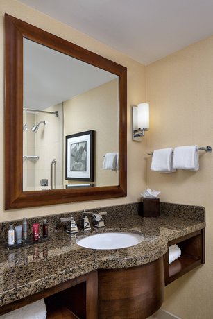 Imagen de la habitación del Hotel Wyndham Atlanta Buckhead Hotel and Conference Center. Foto 11