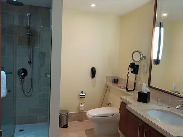 Imagen de la habitación del Hotel Wyndham Downtown Dubai. Foto 11