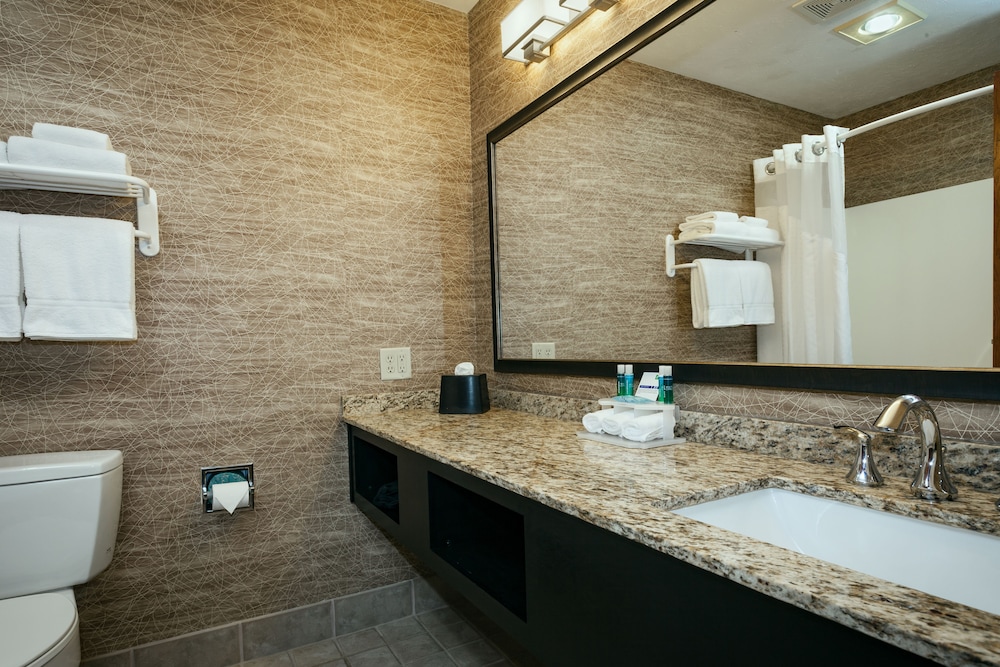 Imagen de la habitación del Hotel Wyndham Garden Anchorage Airport. Foto 12