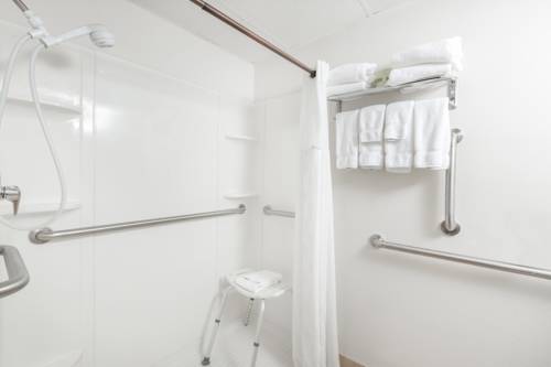 Imagen de la habitación del Hotel Wyndham Garden Ankeny/des Moines. Foto 5