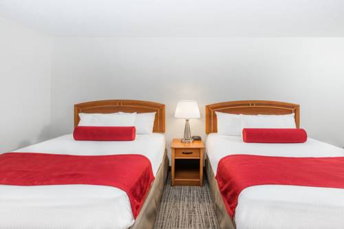 Imagen de la habitación del Hotel Wyndham Garden Ankeny/des Moines. Foto 8