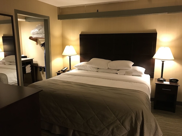 Imagen de la habitación del Hotel Wyndham Garden Ann Arbor. Foto 3