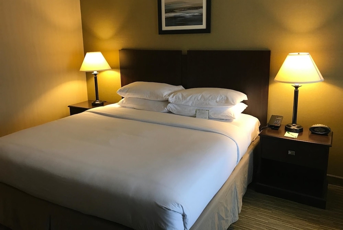 Imagen de la habitación del Hotel Wyndham Garden Ann Arbor. Foto 4