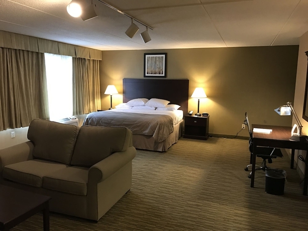 Imagen de la habitación del Hotel Wyndham Garden Ann Arbor. Foto 10