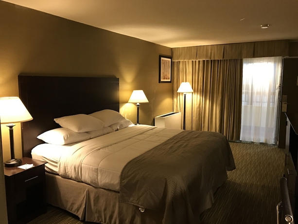 Imagen de la habitación del Hotel Wyndham Garden Ann Arbor. Foto 14