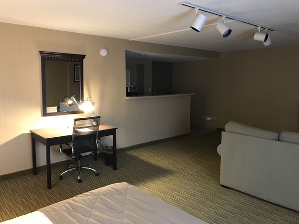 Imagen de la habitación del Hotel Wyndham Garden Ann Arbor. Foto 17