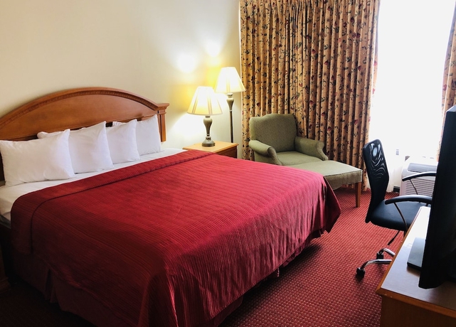 Imagen de la habitación del Hotel Wyndham Garden Atlanta Airport. Foto 8