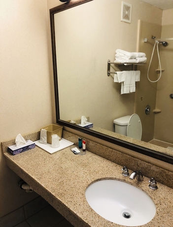 Imagen de la habitación del Hotel Wyndham Garden Atlanta Airport. Foto 13