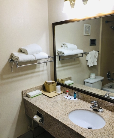 Imagen de la habitación del Hotel Wyndham Garden Atlanta Airport. Foto 14