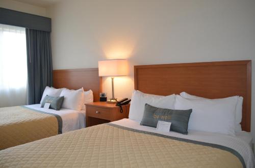 Imagen de la habitación del Hotel Wyndham Garden Baton Rouge. Foto 6