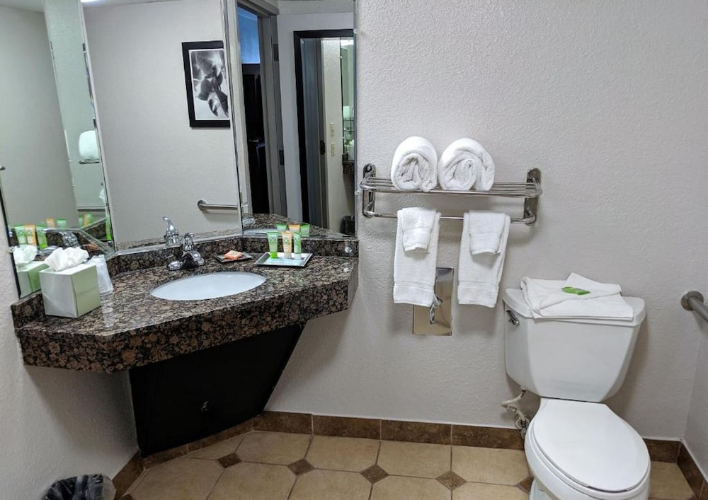 Imagen de la habitación del Hotel Wyndham Garden Charlotte Airport Southeast. Foto 6