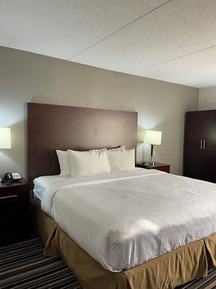 Imagen de la habitación del Hotel Wyndham Garden Charlotte Airport Southeast. Foto 7