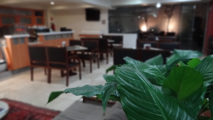 Imagen del bar/restaurante del Hotel Wyndham Garden Ciudad de México Polanco. Foto 4