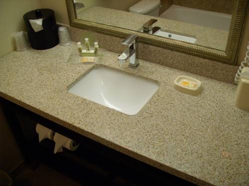Imagen de la habitación del Hotel Wyndham Garden Dover. Foto 14
