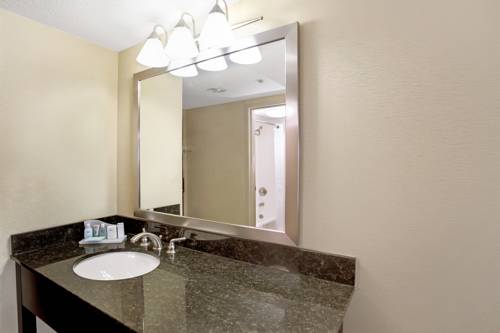 Imagen de la habitación del Hotel Wyndham Garden Duluth. Foto 6