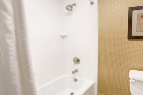 Imagen de la habitación del Hotel Wyndham Garden Duluth. Foto 8