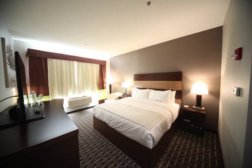 Imagen de la habitación del Hotel Wyndham Garden Edmonton Airport. Foto 2