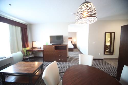 Imagen de la habitación del Hotel Wyndham Garden Edmonton Airport. Foto 7