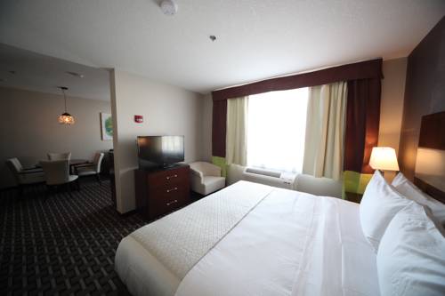 Imagen de la habitación del Hotel Wyndham Garden Edmonton Airport. Foto 13