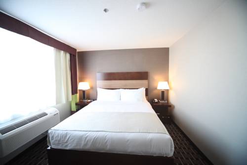 Imagen de la habitación del Hotel Wyndham Garden Edmonton Airport. Foto 14