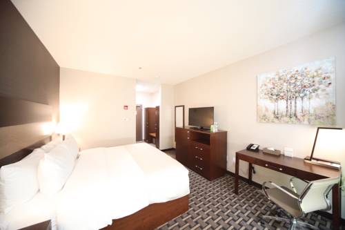 Imagen de la habitación del Hotel Wyndham Garden Edmonton Airport. Foto 16
