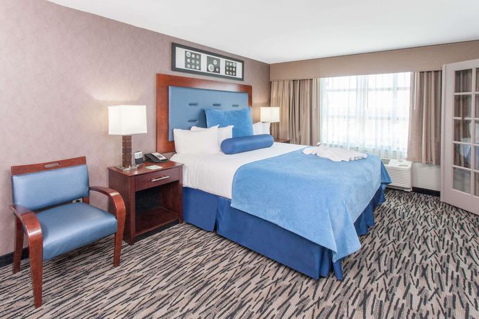 Imagen de la habitación del Hotel Wyndham Garden Elk Grove Village/o'hare. Foto 4