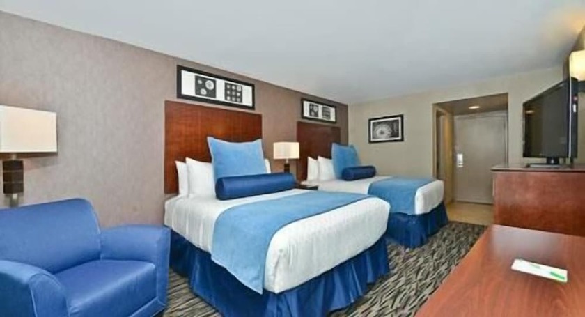 Imagen de la habitación del Hotel Wyndham Garden Elk Grove Village/o'hare. Foto 6