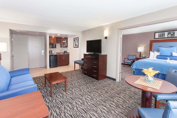 Imagen de la habitación del Hotel Wyndham Garden Elk Grove Village/o'hare. Foto 7