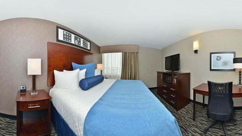 Imagen de la habitación del Hotel Wyndham Garden Elk Grove Village/o'hare. Foto 8