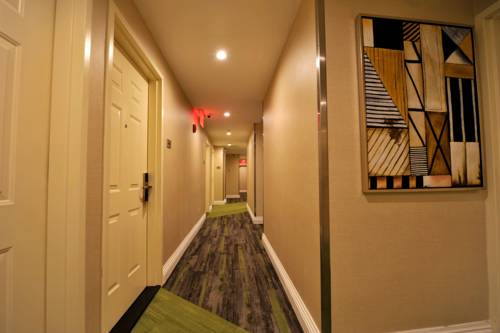 Imagen de la habitación del Hotel Wyndham Garden Fresh Meadows Flushing. Foto 4