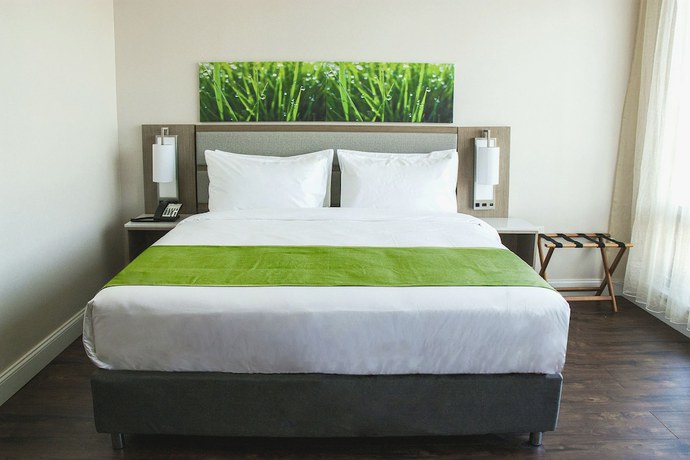 Imagen de la habitación del Hotel Wyndham Garden Fresh Meadows Flushing. Foto 6