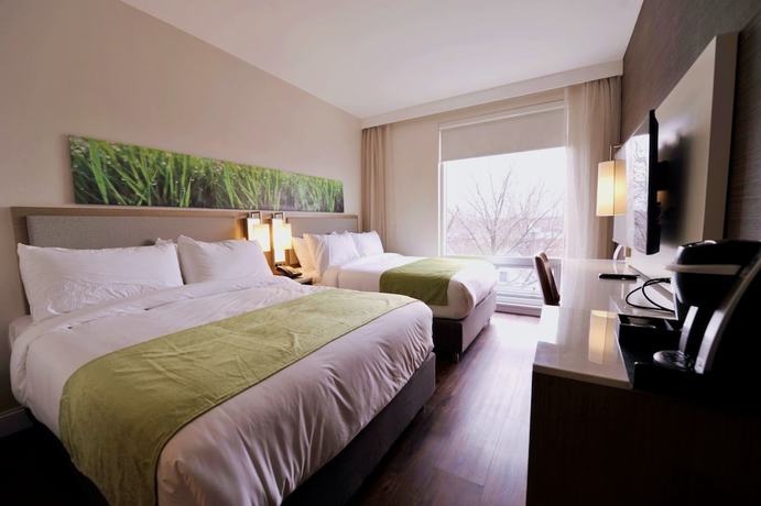 Imagen de la habitación del Hotel Wyndham Garden Fresh Meadows Flushing. Foto 8