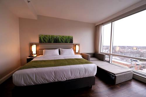 Imagen de la habitación del Hotel Wyndham Garden Fresh Meadows Flushing. Foto 9