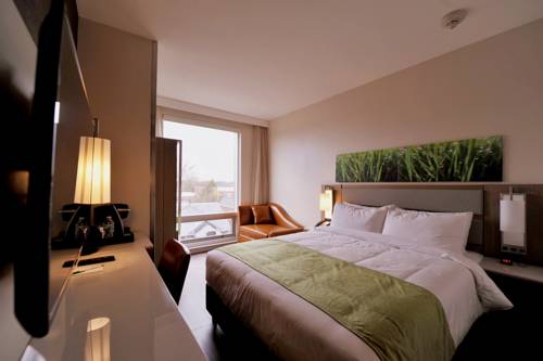 Imagen de la habitación del Hotel Wyndham Garden Fresh Meadows Flushing. Foto 11