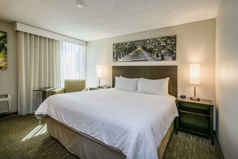 Imagen de la habitación del Hotel Wyndham Garden Fresno Yosemite Airport. Foto 13
