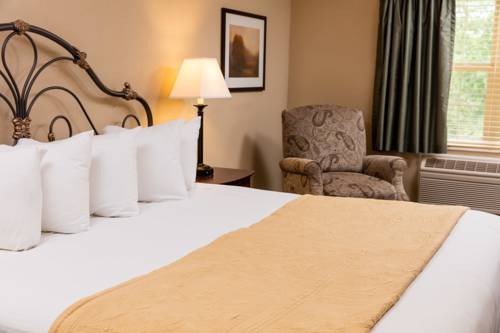 Imagen de la habitación del Hotel Wyndham Garden Galena and Day Spa. Foto 14