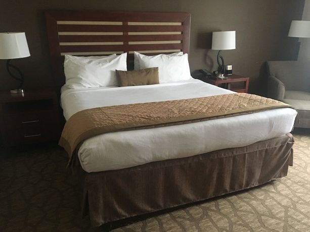 Imagen de la habitación del Hotel Wyndham Garden Grand Rapids Airport. Foto 6