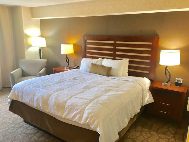 Imagen de la habitación del Hotel Wyndham Garden Grand Rapids Airport. Foto 11