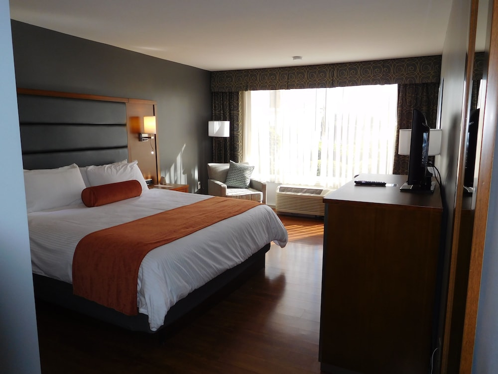 Imagen de la habitación del Hotel Wyndham Garden Greensboro. Foto 2