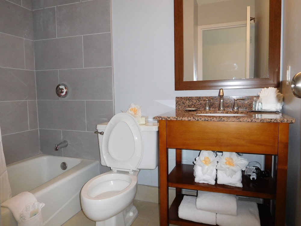 Imagen de la habitación del Hotel Wyndham Garden Greensboro. Foto 4